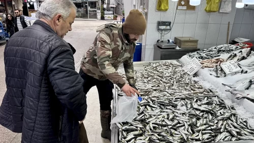 Kilo kilo satılıyordu şimdi alan yok! Tezgahlarda balık fiyatları düştü