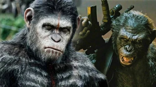 Maymun iç savaşı nedir? Uganda’daki şempanze çatışmasında kaç maymun öldü?