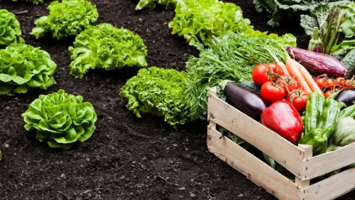 Tarım-ÜFE Mart’ta aylık %3,85 arttı