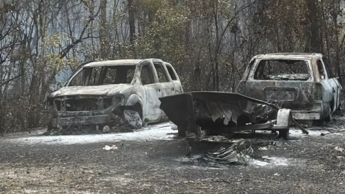 Alevler şehirlere indi, gökyüzü siyaha büründü! 27 bin dönüm kül oldu