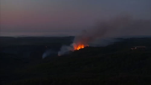 Kontrol altına alınan yangın rüzgarla yeniden patladı