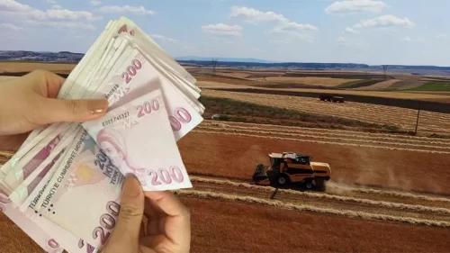 2026 Çiftçi Destek Ödemeleri e-Devlet Sorgulama: Tarımsal Destek Ödemeleri Hesaplara Yatıyor Mu?