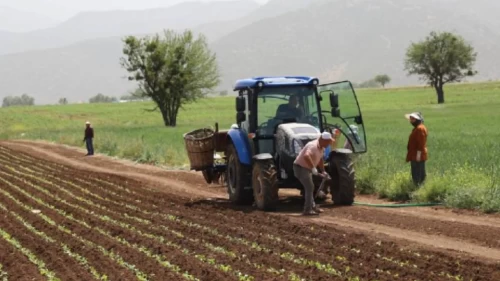 Çiftçiye müjde: 350 milyon liralık destek ödemesi hesaplara yatıyor