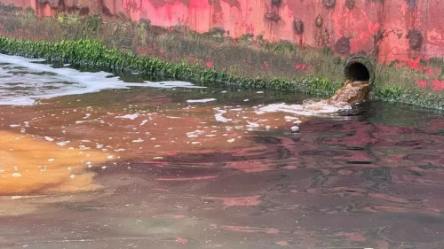 Deniz kirliliğine sıkı denetim