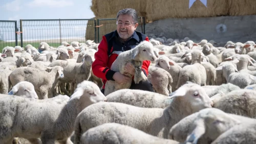 Bakan Yumaklı üretici desteğini duyurdu: 100 hayvan ve 180 bin TL verilecek!