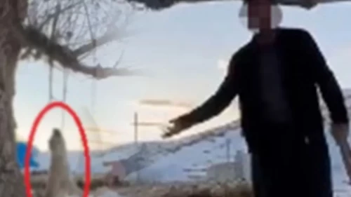 Sosyal medyayı ayağa kaldıran vahşette adalet yerini buldu