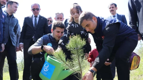 Düzce’de 'Devlet Bahçeli Hatıra Ormanı' için 200 fidan dikildi