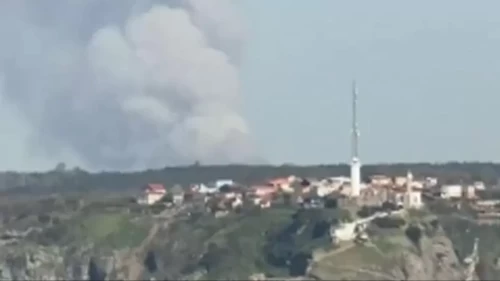 Beykoz’da korkutan orman yangını