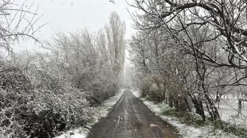 Lapa lapa kar yağdı!