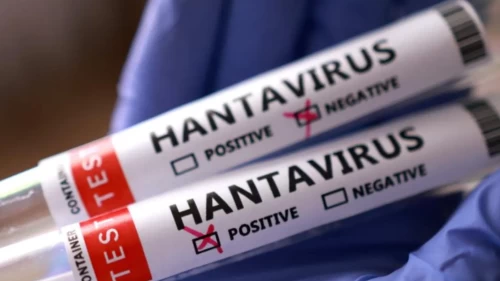 İsrail'de hantavirüs alarmı