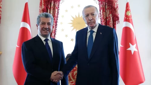 Cumhurbaşkanı Erdoğan, IKBY Başbakanı'nı kabul etti