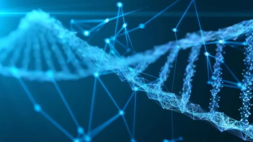 Buzlar arasındaki 178 yıllık sır DNA ile çözüldü