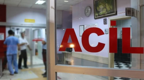 İstanbul'da 'acemi kasap' bilançosu: 767 kişi hastanelik oldu!