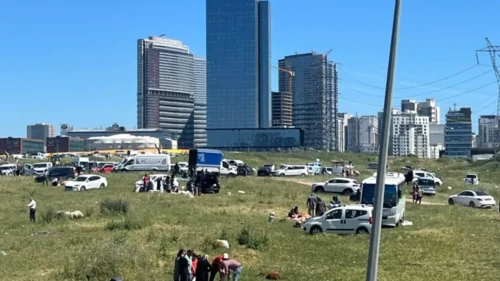 İstanbul'da kaçak kesime geçit yok
