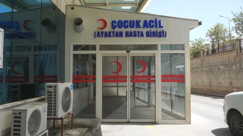 Eşekten düşüp sürüklenen çocuk, başını taşa çarpıp öldü!