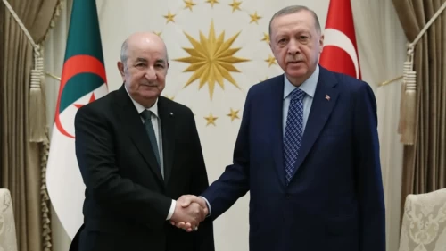 Cumhurbaşkanı Erdoğan'dan Cezayir lideri Tebbun ile kritik görüşme