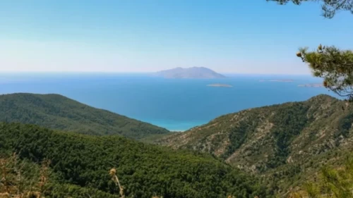 Fiyatı sosyal medyayı karıştırdı