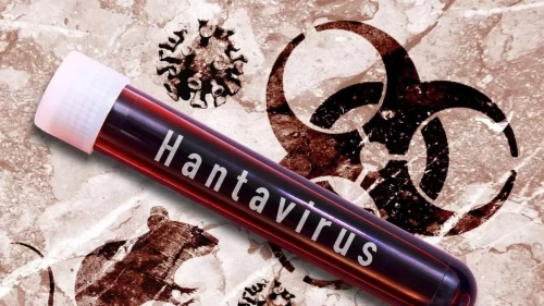 DSÖ’den dikkat çeken hantavirüs açıklaması