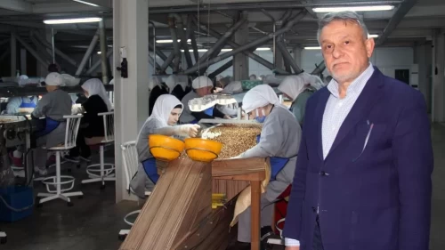 Fındık fiyatlarındaki düşüş sürüyor!