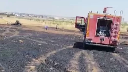 Mardin'deki yangında 40 dönüm buğday arazisi zarar gördü