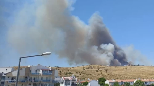 Dikili'de tarım arazisinde çıkan yangın ormana sıçradı!
