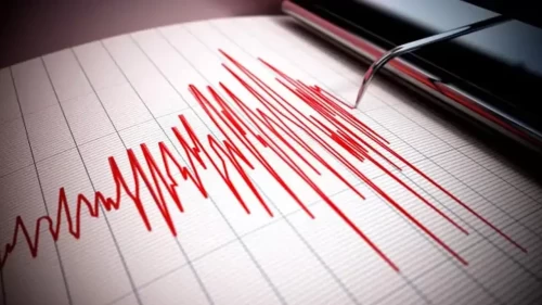 Korkutan depremler sonrası ilk açıklama geldi