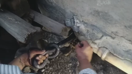 Evin yanındaki delikten 1,5 metrelik yılanlar çıktı!
