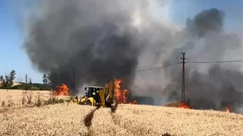 Tekirdağ'da korkutan tarla yangını! 50 dekarlık buğday kül oldu