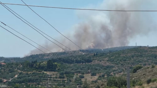Çeşme'de çöplük yangını büyüdü: Alevler makilik alana sıçradı!