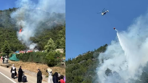 Bursa'da yangın ormana sıçradı! Alevler villalara doğru ilerliyor