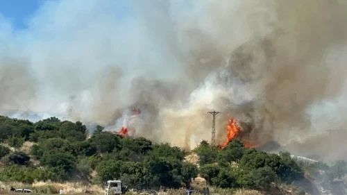 Çanakkale'de korkutan orman yangını! Rüzgarın etkisiyle yayılıyor