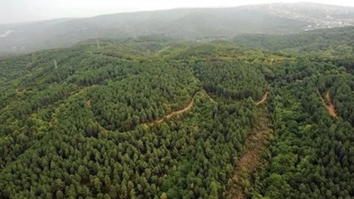 Kütahya’da orman yangınlarına karşı 'yasak' kararı