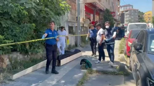 Kedisini arayan kadın çürümüş ceset buldu!