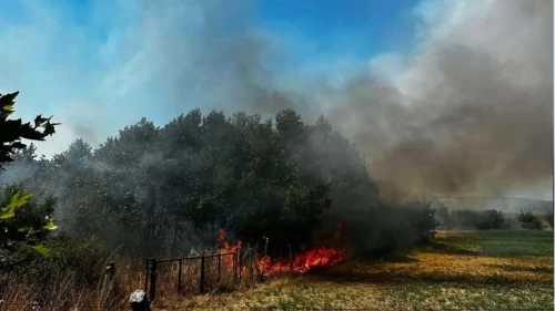 Ayvacık’ta otluk alandaki yangına hızlı müdahale