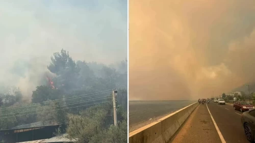 Kazdağları eteklerinde orman yangını