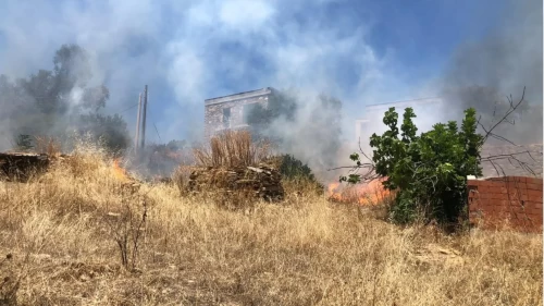 Bodrum’da otluk alandan ormana sıçrayan yangın kontrol altında