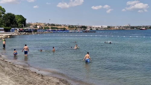 Marmara Denizi'nde alarm! Uzman isim uyardı: Felaketlere yol açabilir