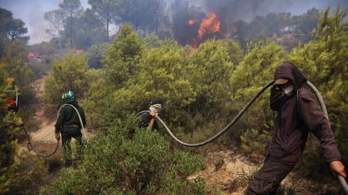 Orman sabotajcıları kameraya yakalandı