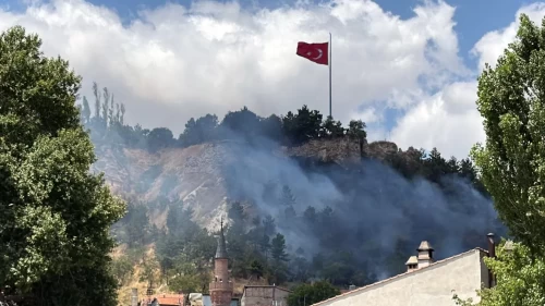 Kütahya Kalesi yakınındaki yangın büyümeden söndürüldü