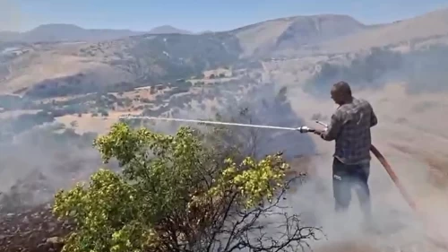 Efeler köyünde arazi yangını