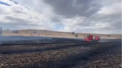 Tarlada Korkutan Yangın