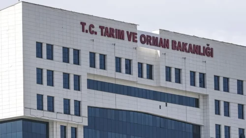 Bakanlık, güvenlik görevlisinden büro personeline 1.874 çalışan alacak! ✅