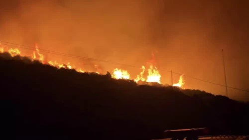 İzmir'de makilik alanda yangın