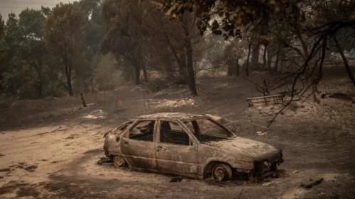 Avrupa'da büyük yangın alarmı! AB'den Fransa ve İspanya'ya acil destek