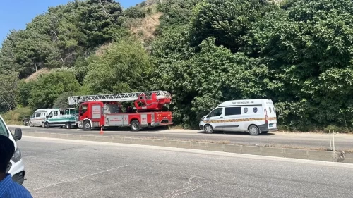 Korkunç olay! Ağaca asılmış ceset bulundu