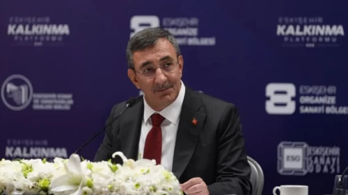 Cumhurbaşkanı Yardımcısı Cevdet Yılmaz'dan ekonomi mesajı: Sulama yatırımlarını ciddi ölçüde artırdık