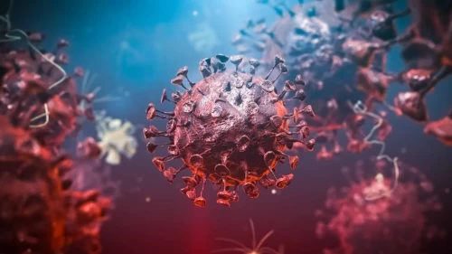 O ülkede Ebola varyant alarmı