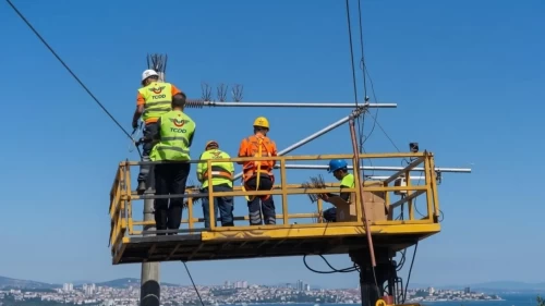 Leylekler için özel aparat geliştirildi