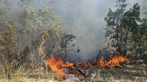 Bulgaristan'da korkutan yangın