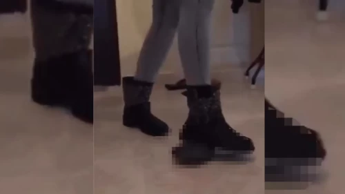Kaplumbağayı botuyla ezerek öldüren kişi gözaltına alındı